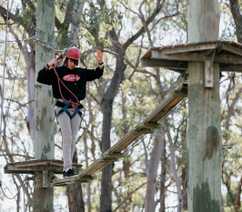 High Ropes Course